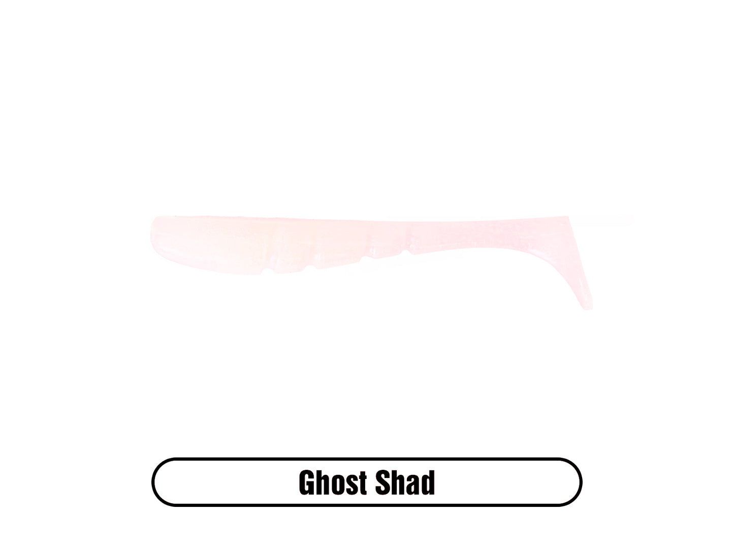 Swammer 2.75" (8 Pack)