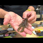 Carl Jocumsen Breaks down the Adrenaline Craw Jr. by X Zone Lures, a soft plastic craw bait used for bass fishing